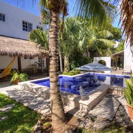 Villa Escondida Guest House Cozumel Downtown Exterior photo